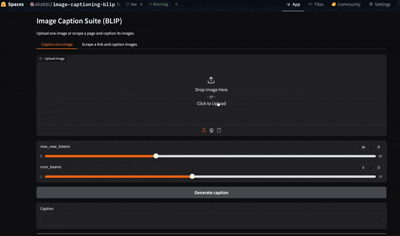 Image Captioning Demo